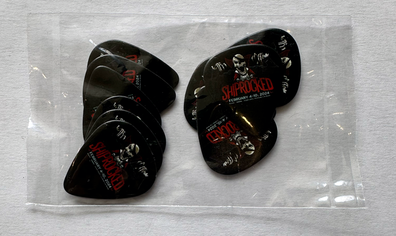 Shiprocked 2024 - Guitar Pics